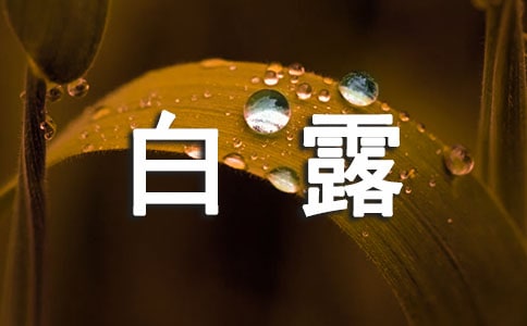 白露節氣的釣魚技巧有哪些