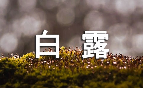 在白露節氣吃什么食物好