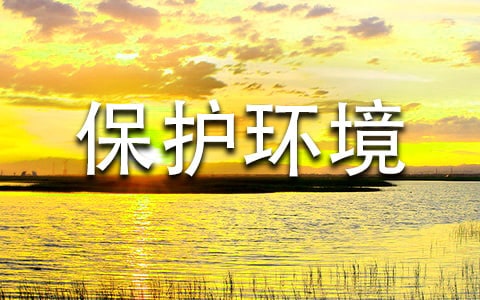 保護環境，低碳生活倡議書