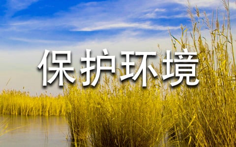 保護環境應該怎么做