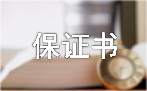 承兌匯票承兌保證書