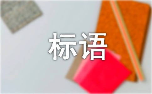 城市管理標語[熱]