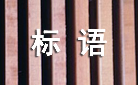 【優(yōu)秀】城市管理標語