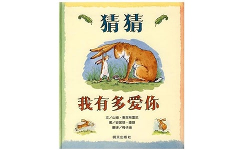 新幼兒園中班語言《猜猜我有多愛你》教學設計活動總結