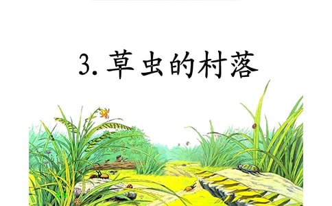 草蟲的村落的教案
