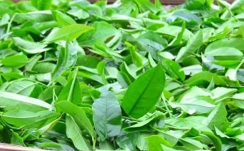 煮茶葉蛋的方法