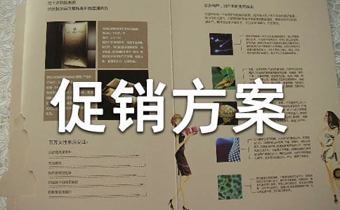 雙12活動(dòng)促銷(xiāo)方案（精選11篇）