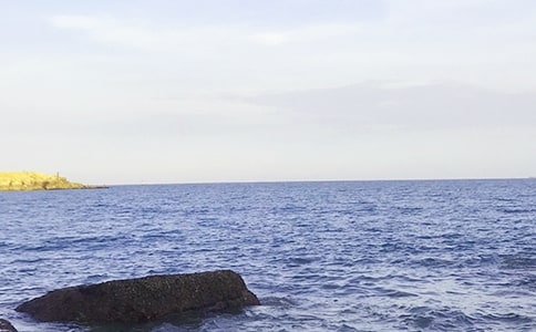 胖大海泡水喝的功效有哪些