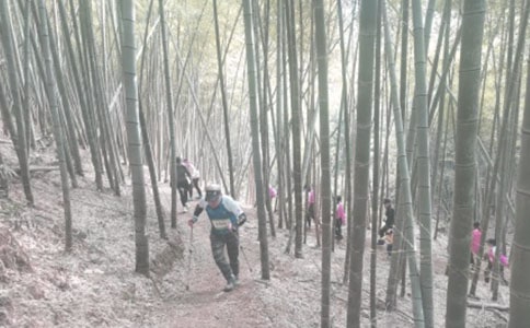 集體登山戶外活動策劃方案模板