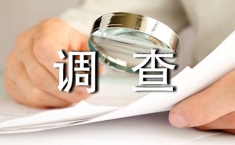 A股調查報告