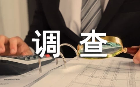 生活調查報告范文