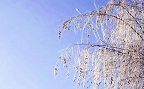 必去的10個(gè)哈爾濱冬天旅游景點(diǎn)