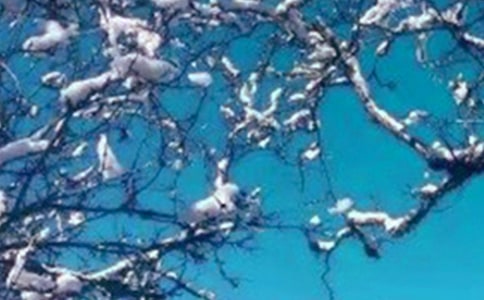 冬天可以去什么地方旅游