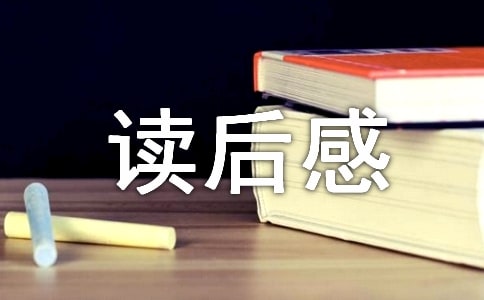 《安德的游戲》讀后感12篇