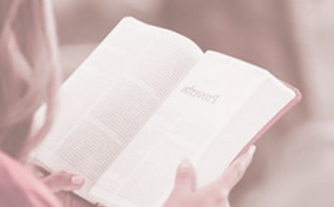 讀書日親子閱讀活動總結