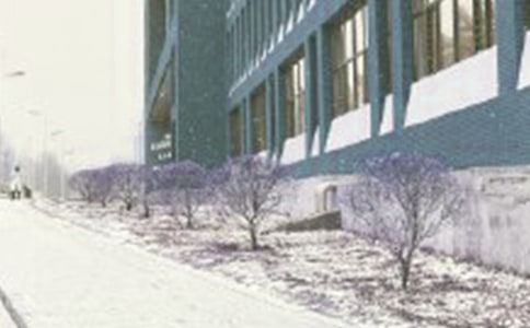 林教頭風(fēng)雪山神廟節(jié)選閱讀答案