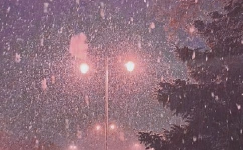 《風雪夜歸》閱讀答案