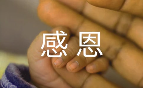 感恩父母主題班會活動方案