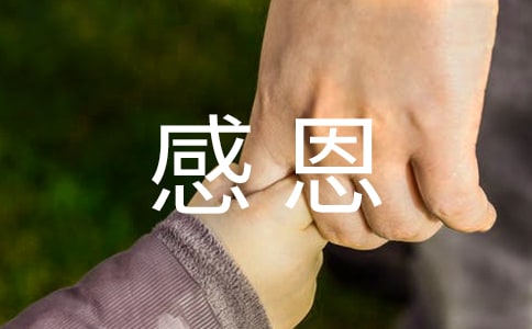感恩父母的歌曲有哪些