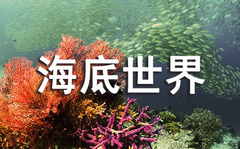 《海底世界》中班美術(shù)教案