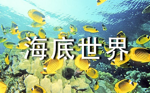 新澳海底世界游玩攻略