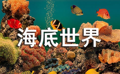 長風海底世界游玩攻略