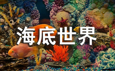 廈門鼓浪嶼海底世界好玩嗎
