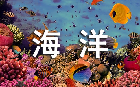 有關《海洋》影評600字