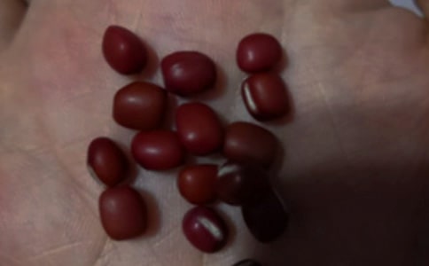 黑豆紅豆薏米選購方法
