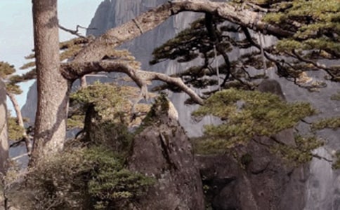 去黃山旅游注意事項有哪些
