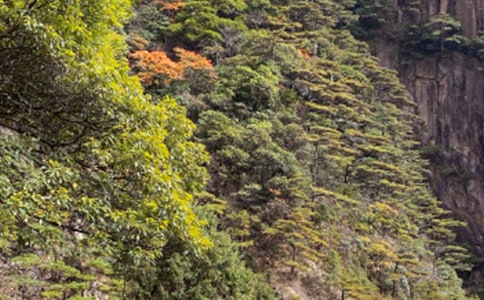 2017黃山旅游攻略介紹