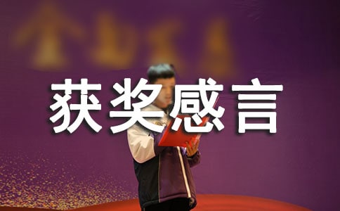 高峰會獲獎感言