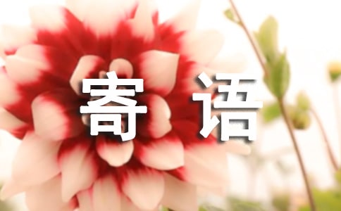 高三沖刺的寄語（精選290句）
