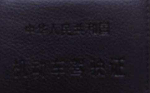 孕婦考駕照注意事項