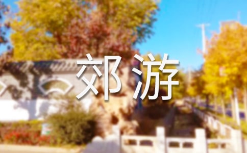 香港南丫島郊游最全攻略
