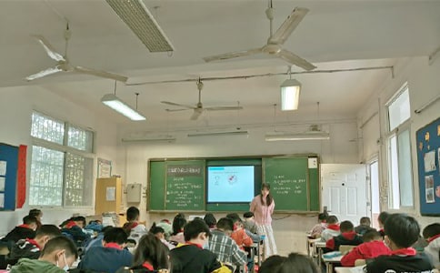 大班教學活動設計方案