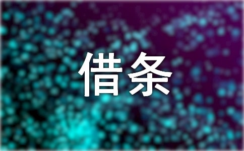 個(gè)人手寫借條樣本通用