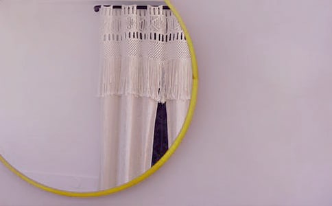 獅子照鏡子教案
