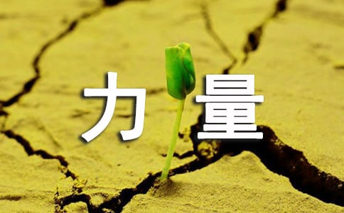 拳擊發力技巧及力量的訓練方法