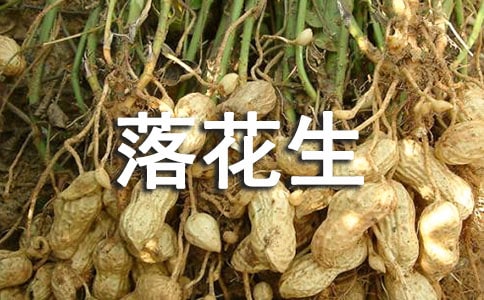 落花生教學反思（通用25篇）