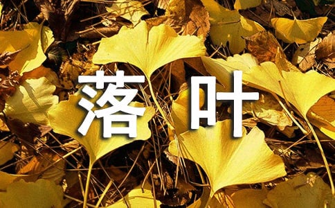 大班語言落葉教案