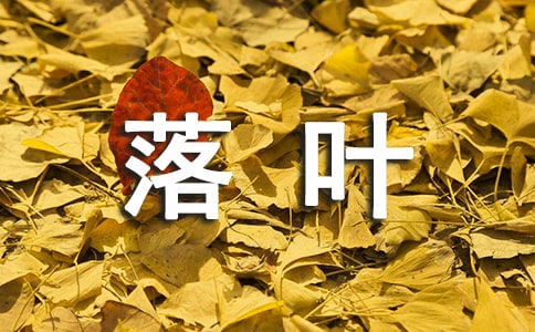 形容落葉的句子11條