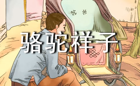 高中生駱駝祥子讀后感
