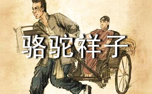 駱駝祥子讀書筆記[精品15篇]