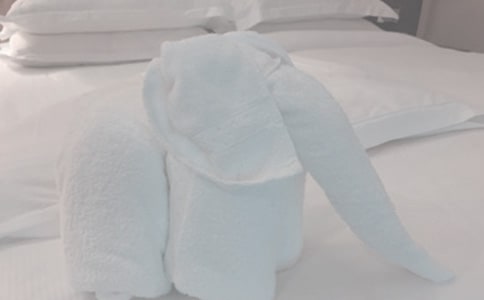 清洗毛巾的方法