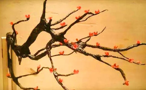 梅花的開花時間