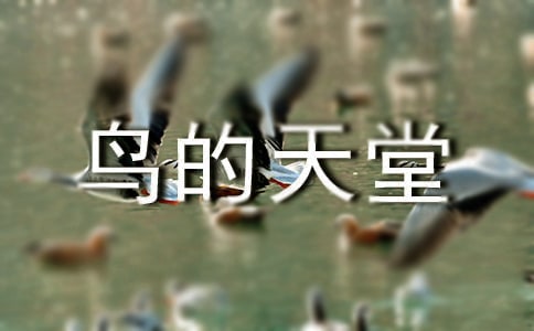 鳥的天堂導游詞[優選]