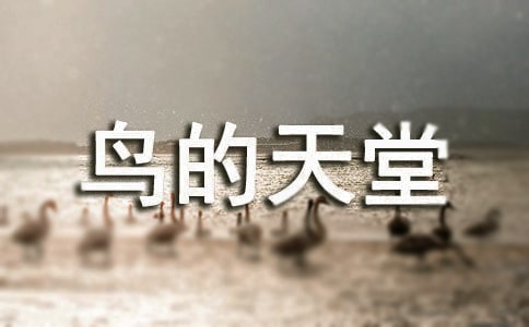 鳥的天堂導游詞【精】