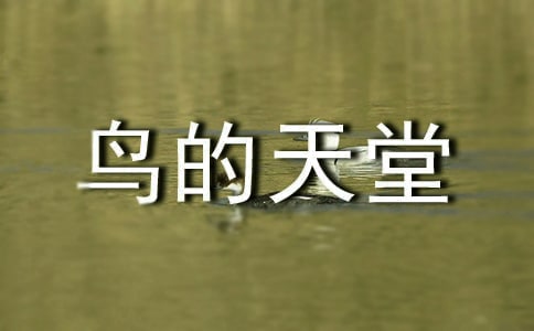 小學語文鳥的天堂教學反思優秀