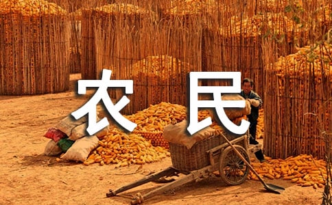 農(nóng)民工管理制度
